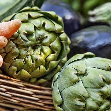 宾馆 Gullu Konaklari 3*