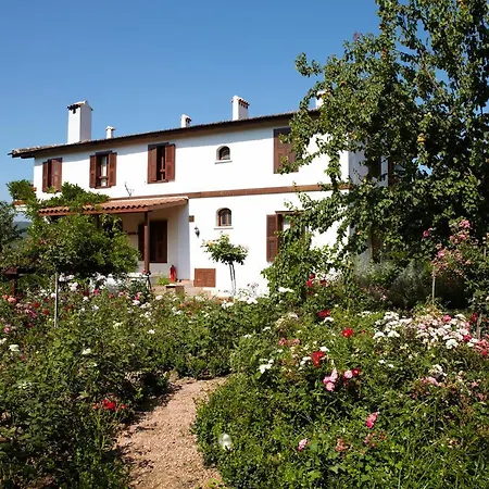 Gullu Konaklari Han/Misafirhane Selçuk