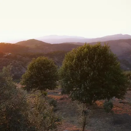 Gullu Konaklari Fogadó 3*