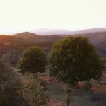 Gullu Konaklari Mini-hôtel 3*
